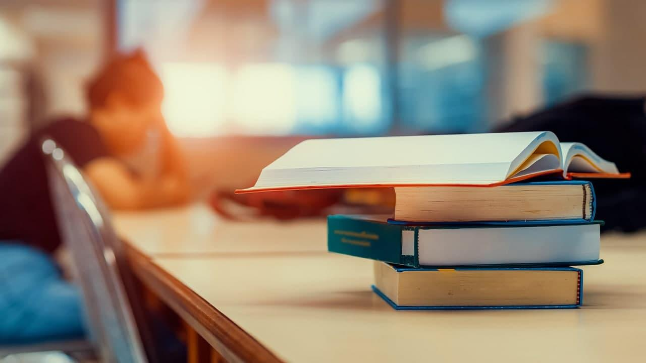 Türkiye-Suriye Üniversitesi