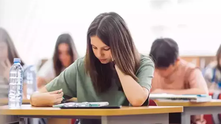 İstanbul LGS Türkçe Özel Ders